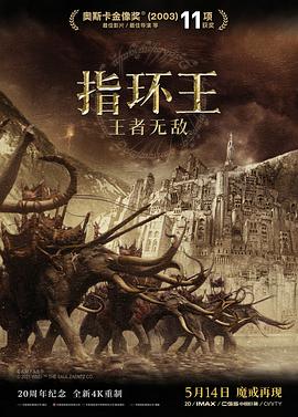 指环王：王者无敌（数字）