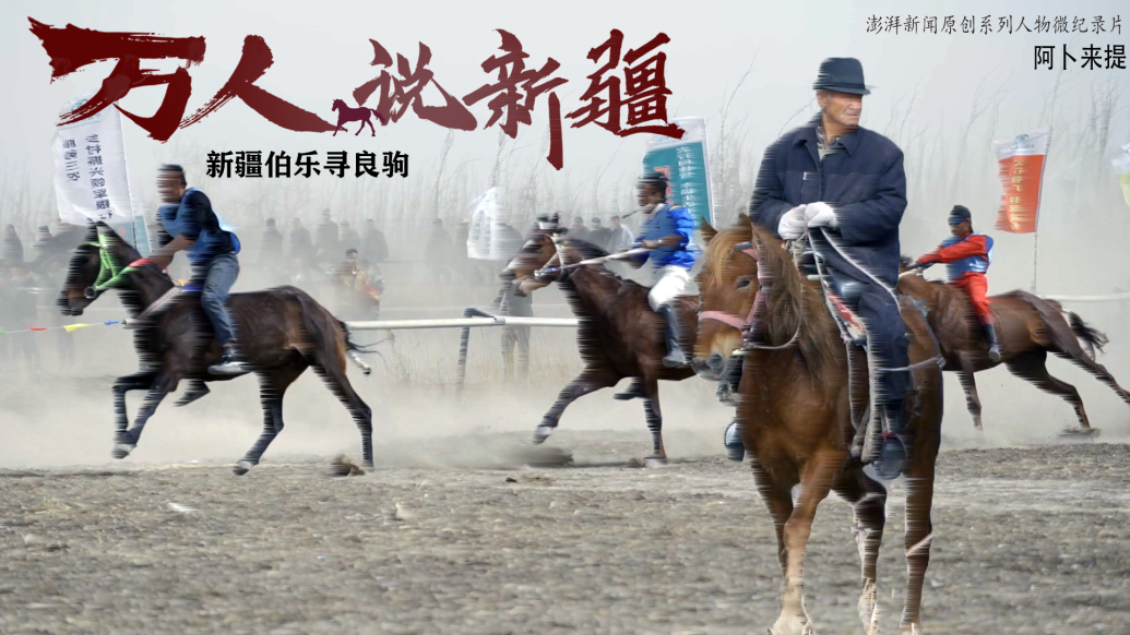 万人说新疆｜伯乐寻良驹