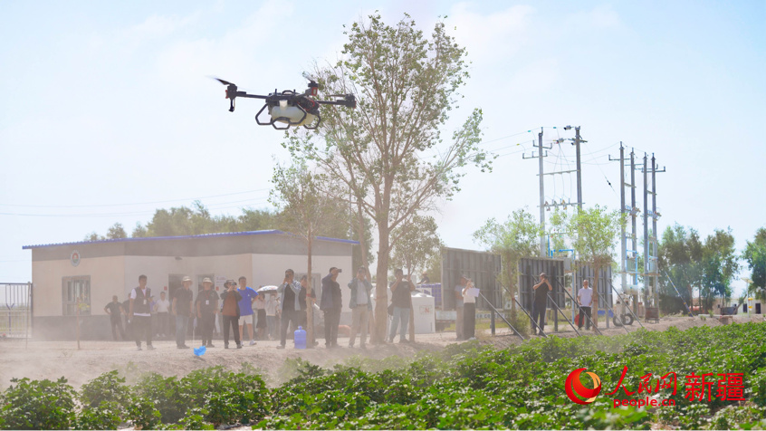 在尉犁县极飞科技超级棉田里，调研组一行就无人化农场解决方案复制推广可行性、科技催生“新农人”等问题进行讨论。人民网 李欣洋摄