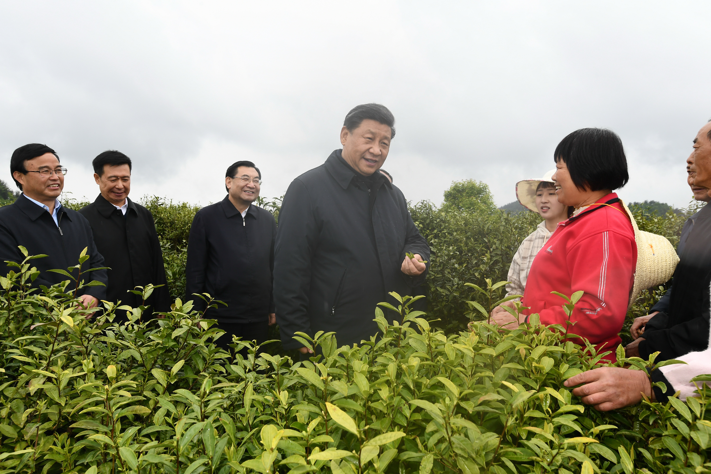 4月20日至23日,中共中央总书记、国家主席、中央军委主席习近平在陕西考察。这是4月21日,习近平在安康市平利县老县镇蒋家坪村女娲凤凰茶业现代示范园区,同茶农们亲切交谈。