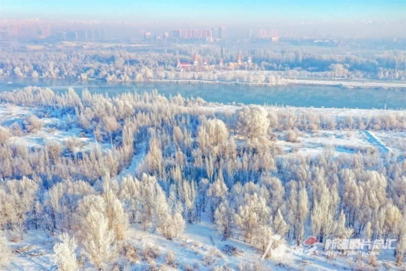 read_image (2).png