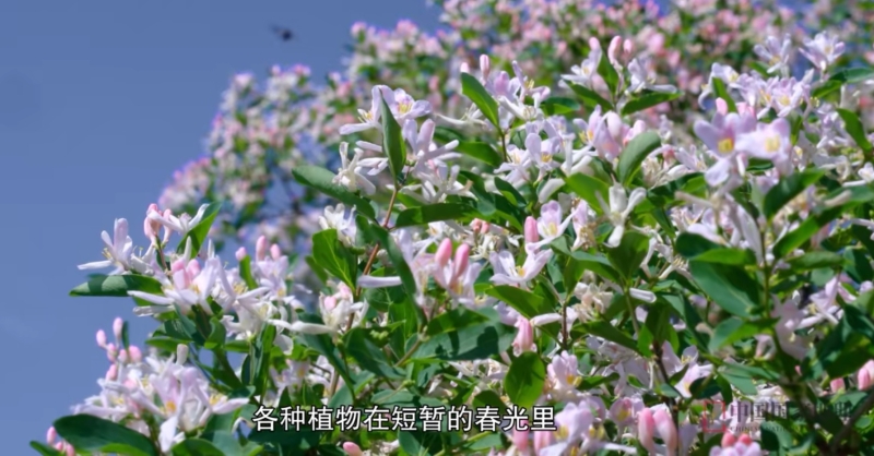 Screenshot_20231226_151426_com.sina.weibo_edit_55398322213942
