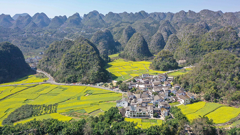 2024年2月17日,贵州省兴义市万峰林景区的油菜花海景色(无人机照片)。