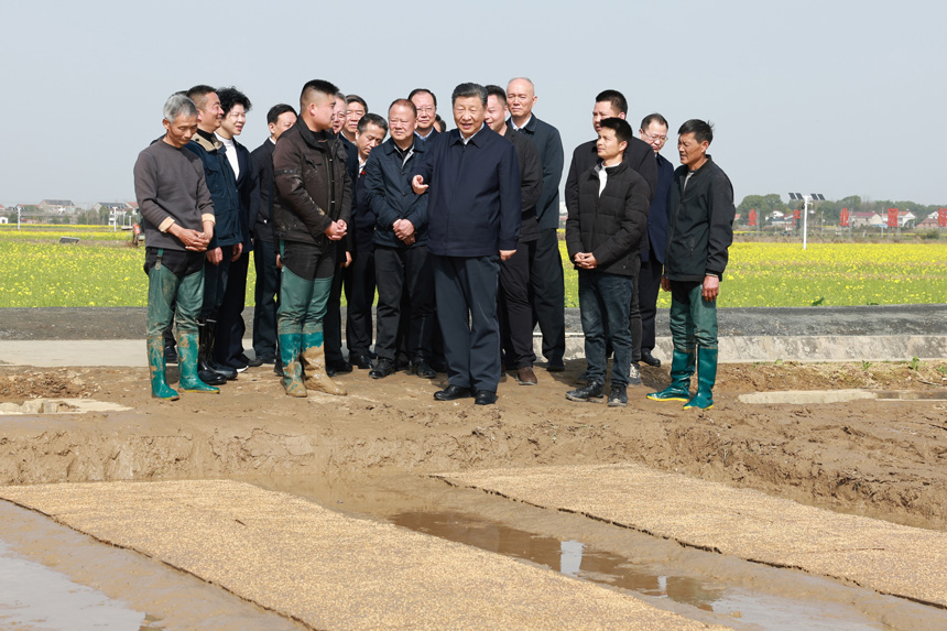 2024年3月18日至21日,中共中央总书记、国家主席、中央军委主席习近平在湖南考察。这是19日下午,习近平在常德市鼎城区谢家铺镇港中坪村走进田间,察看秧苗培育和春耕备耕进展。新华社记者 王晔 摄
