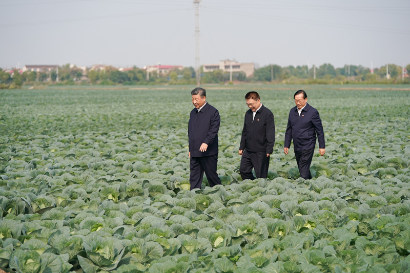 2024年11月5日,习近平总书记在湖北嘉鱼潘家湾镇十里蔬菜长廊考察。