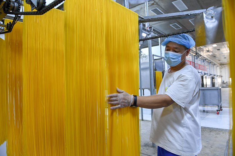 2024年1月25日,在吉林省公主岭市的一家公司车间,工人查看玉米面条生产情况。