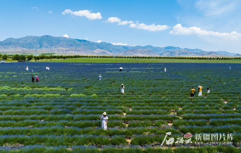 mmexport7cde3b48db8084b673c264c825311ef6_1749190862309