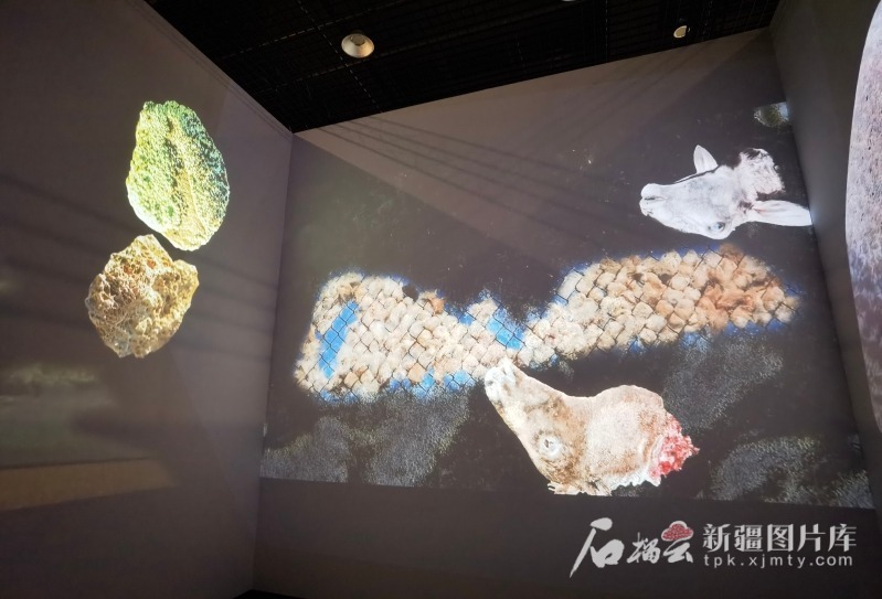 mmexport563b51d4409ac469ebac598feb6a7e2b_1750474400723