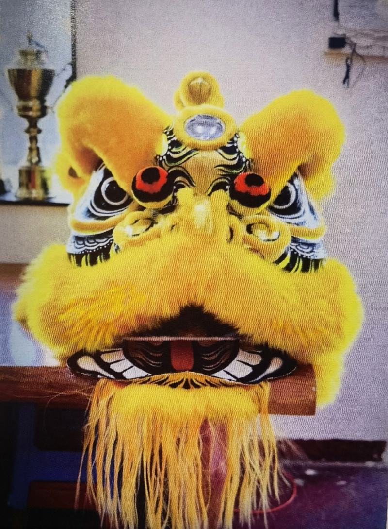 IMG_20250808_115251_edit_80801896336107