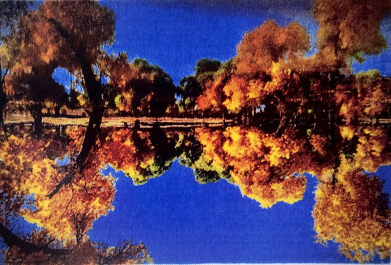 IMG_20250808_115359_edit_80906426031404