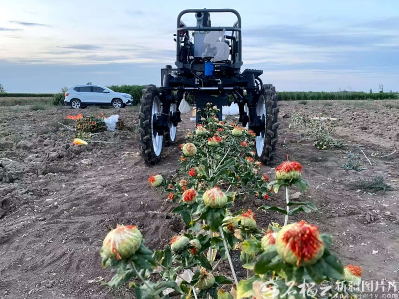 mmexport1757140317054