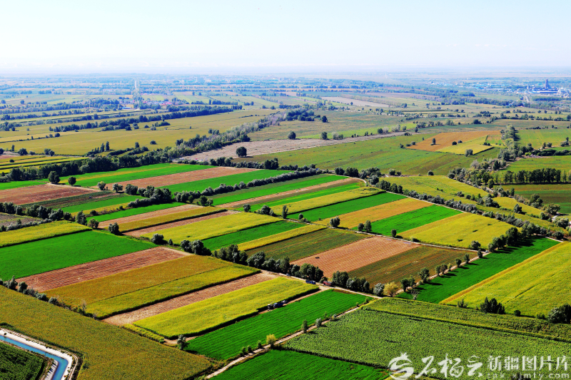 mmexport1758423873985