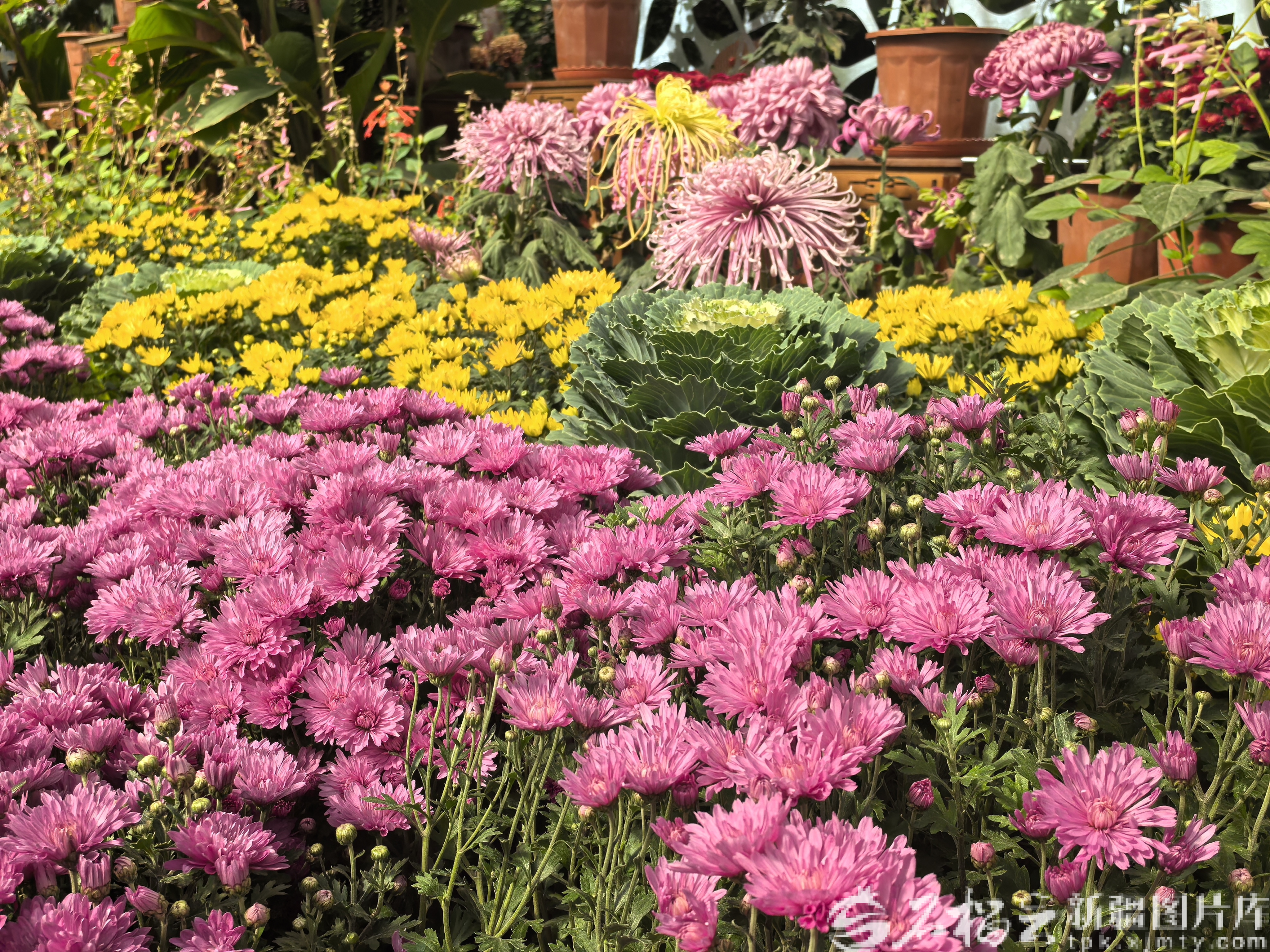 mmexport1759986402238