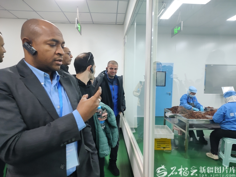 IMG_20251112_174227167_HDR