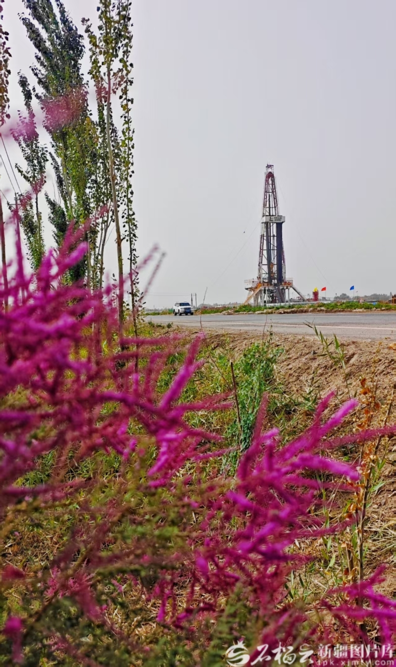 mmexport1762499629133