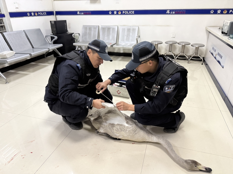 mmexport1764817517912