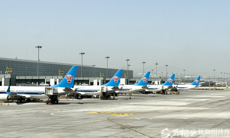 mmexportf0cea402cec2c098308cdc58554a2553_1766059745153