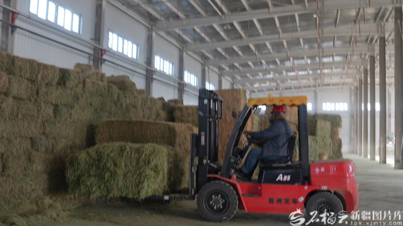 mmexport1766073054898