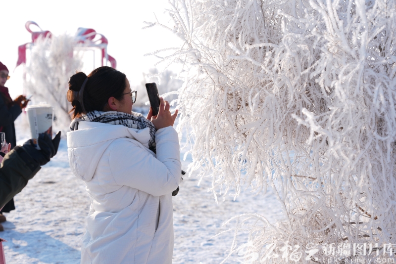 mmexport819b9bdd2a09f2d23443bc162b08908c_1766745873790