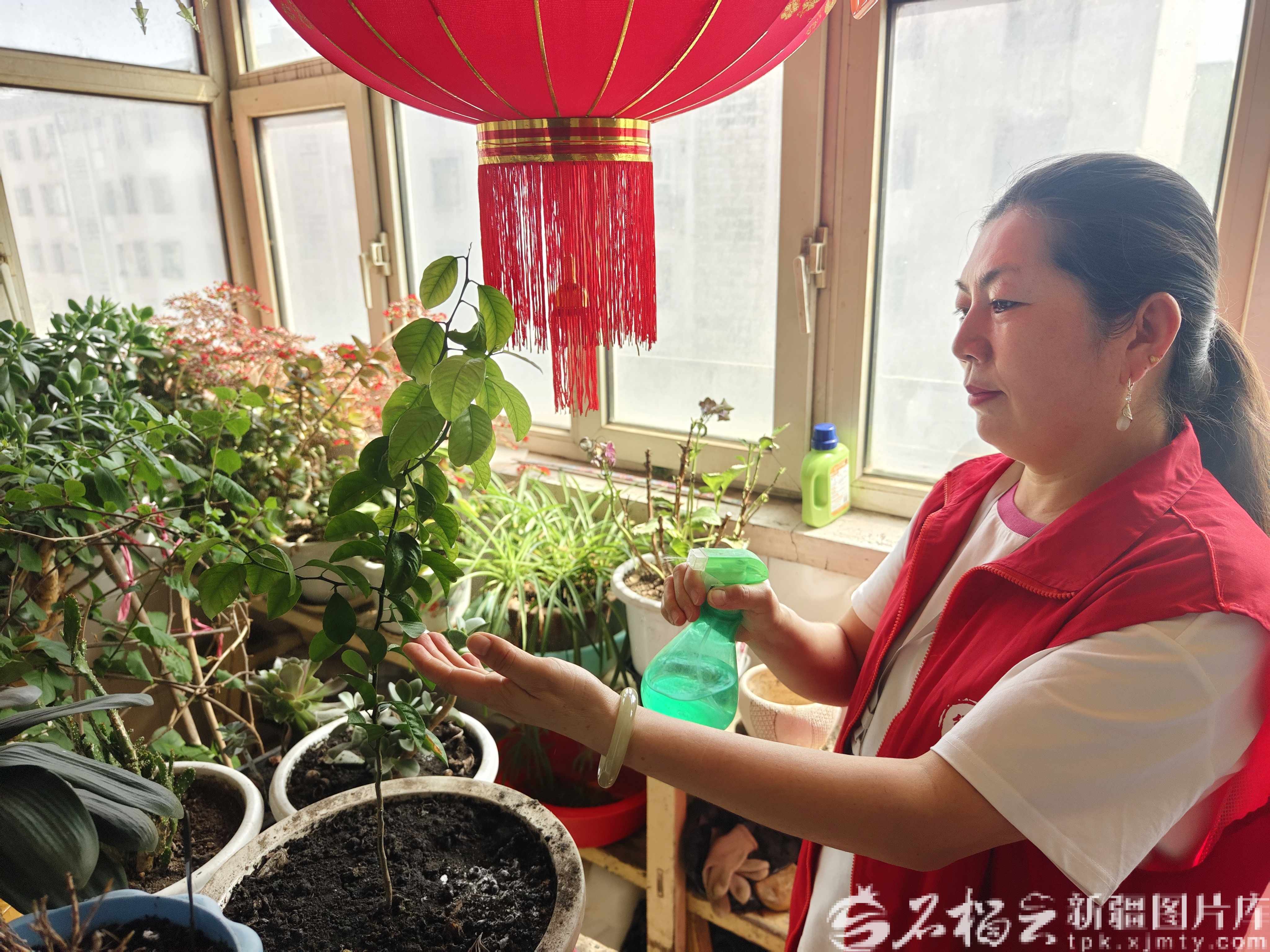 mmexport1767782659842