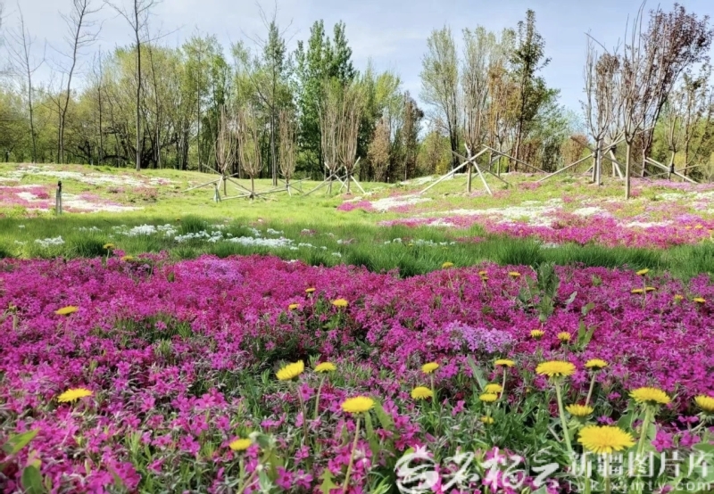 mmexport1767955738128_1767955788668edit