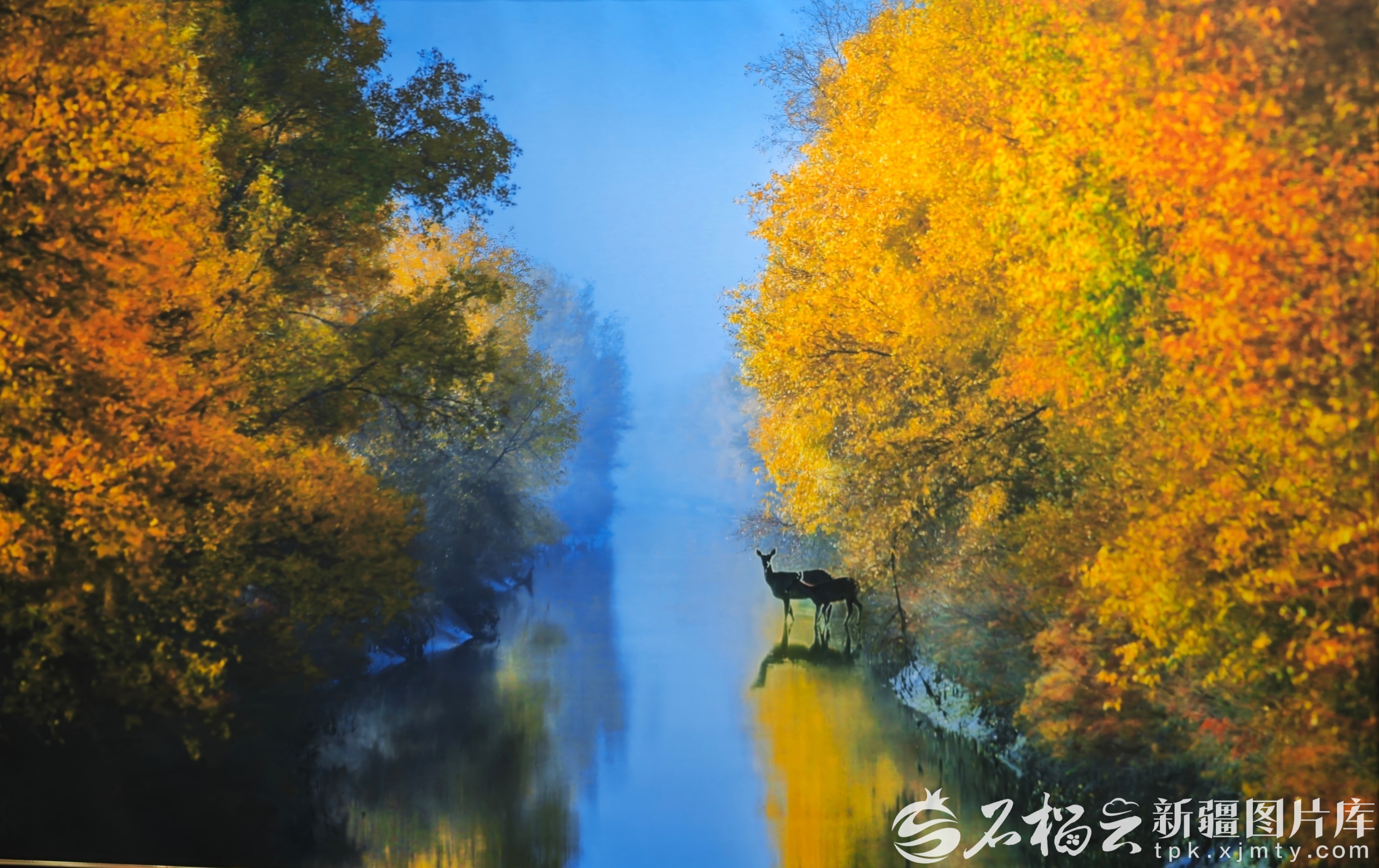 U020260110538611525680