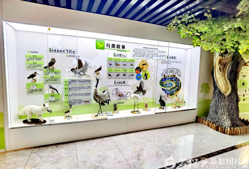 mmexport1768556787209