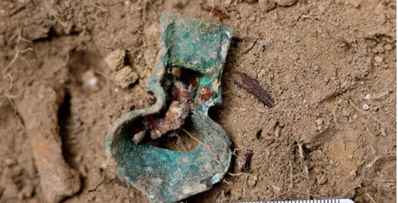 Screenshot_20260204_090349