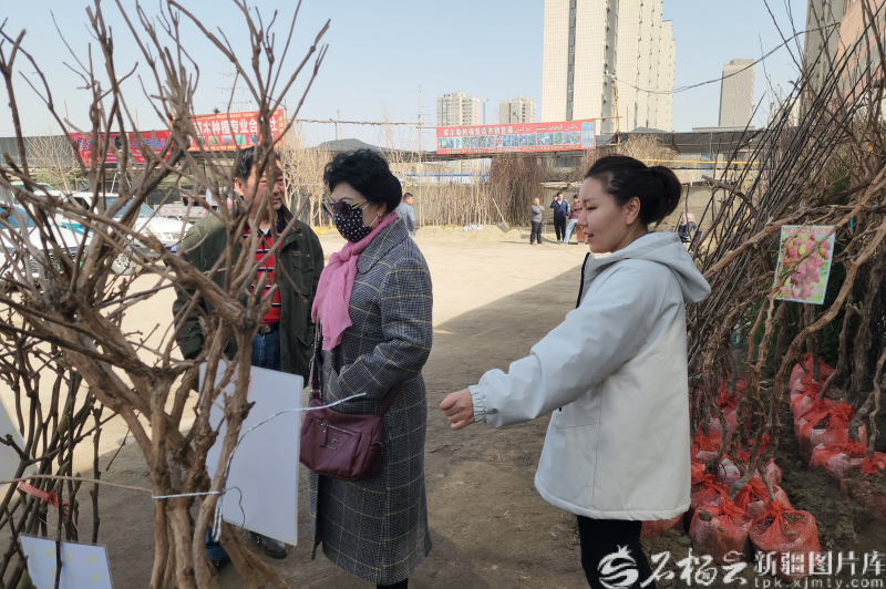 mmexport1773077502356