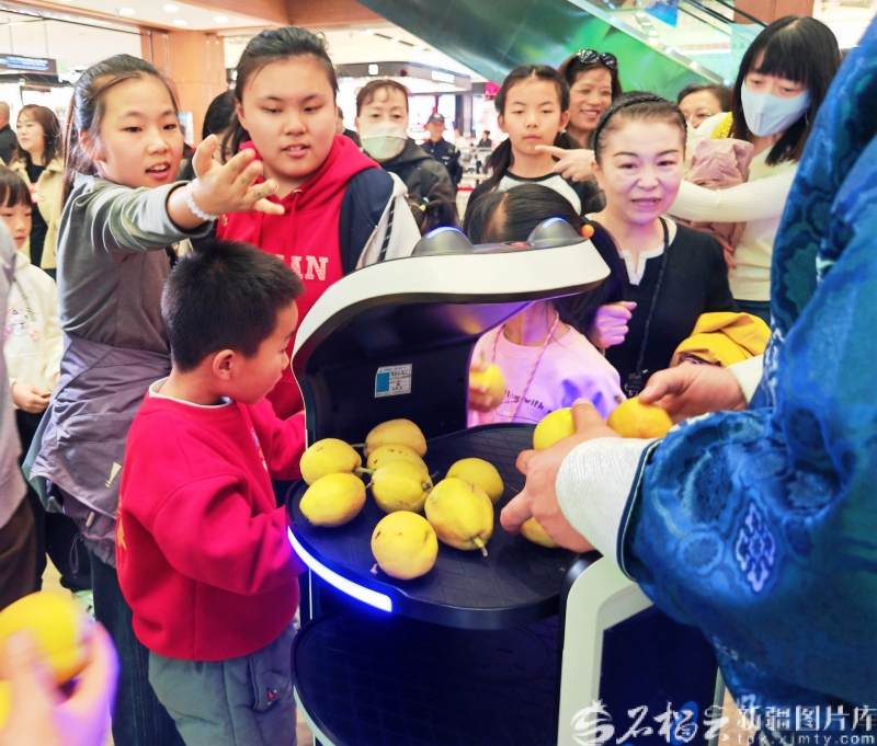 mmexport1774688500684