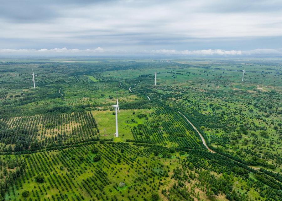 △2024年8月3日,在内蒙古通辽科尔沁左翼后旗,科尔沁沙地“双百万亩”综合治理工程努古斯台项目区内绿意盎然。