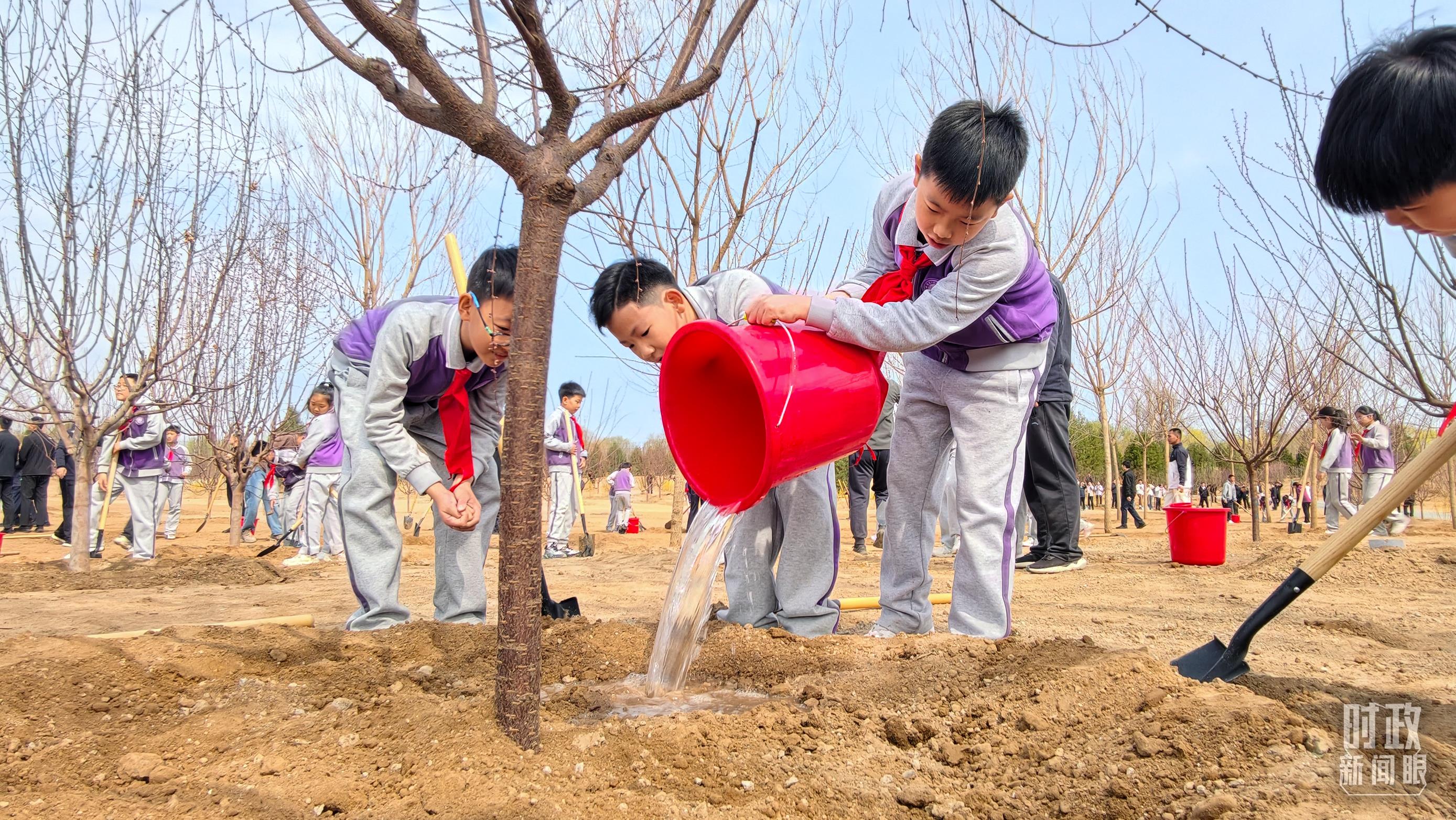 △正在植树的少年儿童。(总台央视记者王策拍摄)