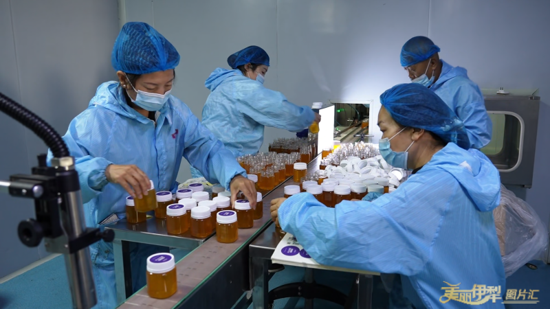 mmexport1775879670576