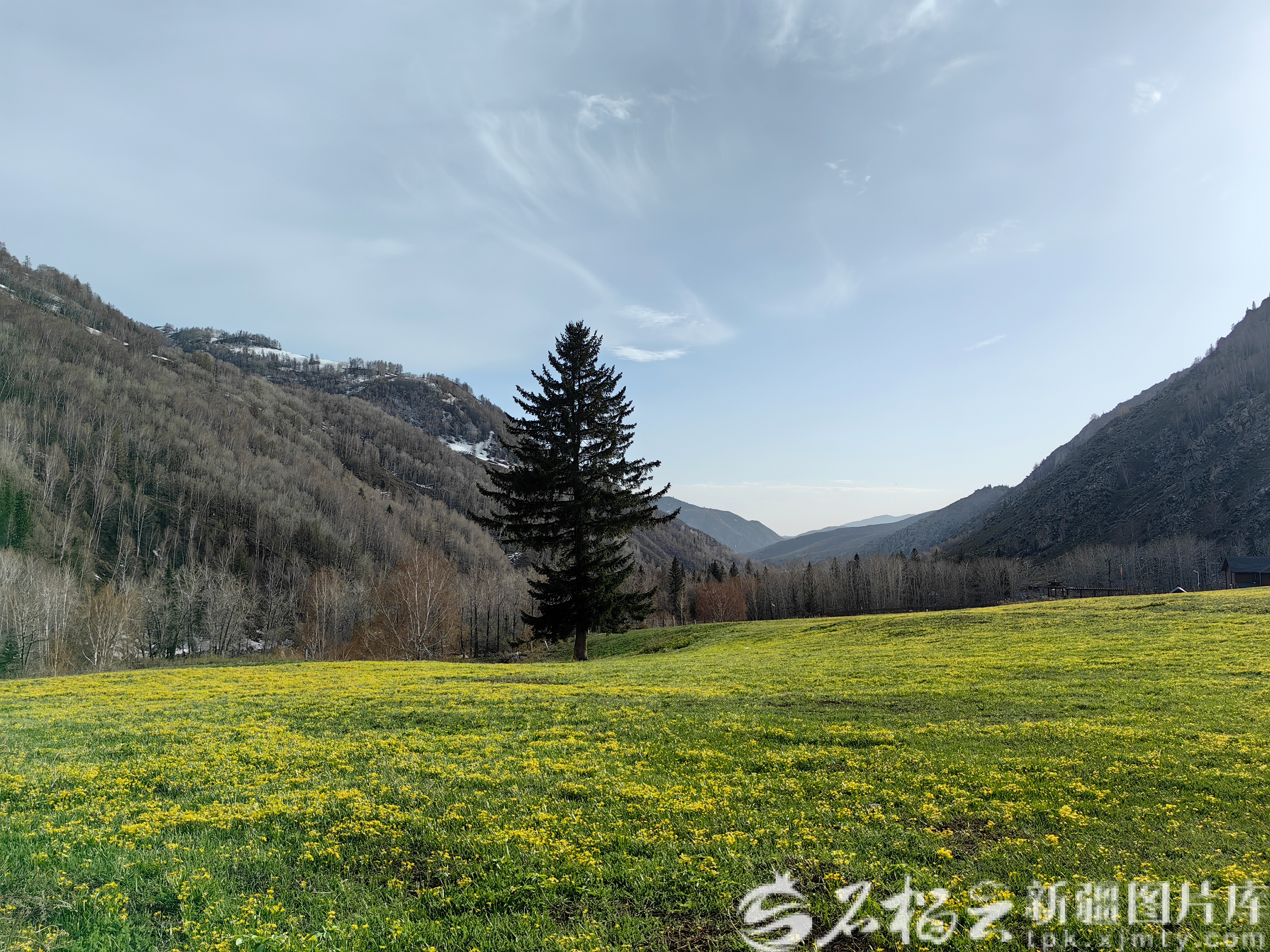 mmexport1777092857310